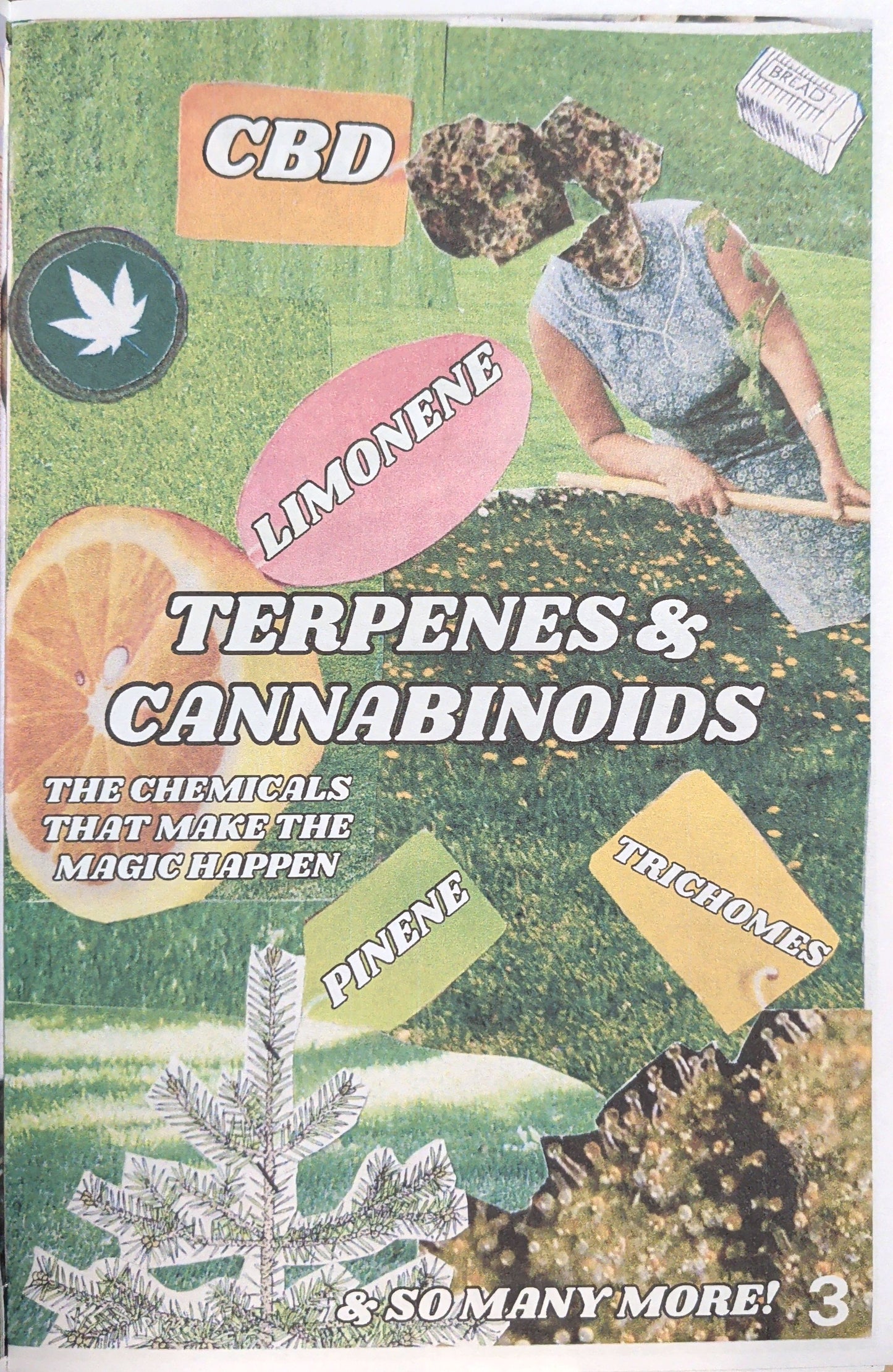 Cannabis is Queer