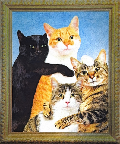 Cat picture frame sticker
