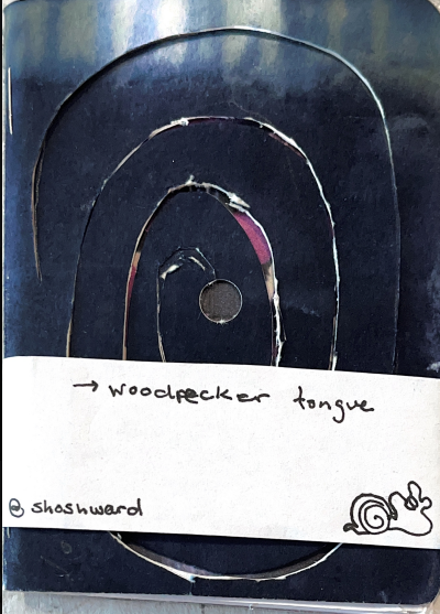Woodpecker Tongue