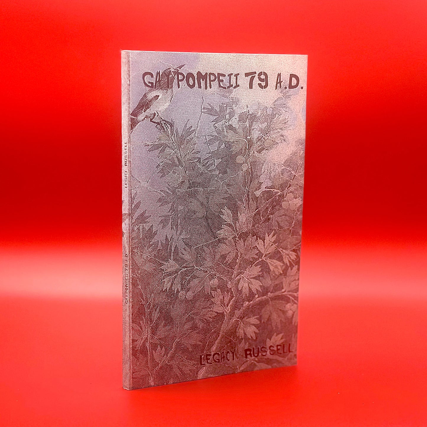 Gay Pompeii 79 A.D.