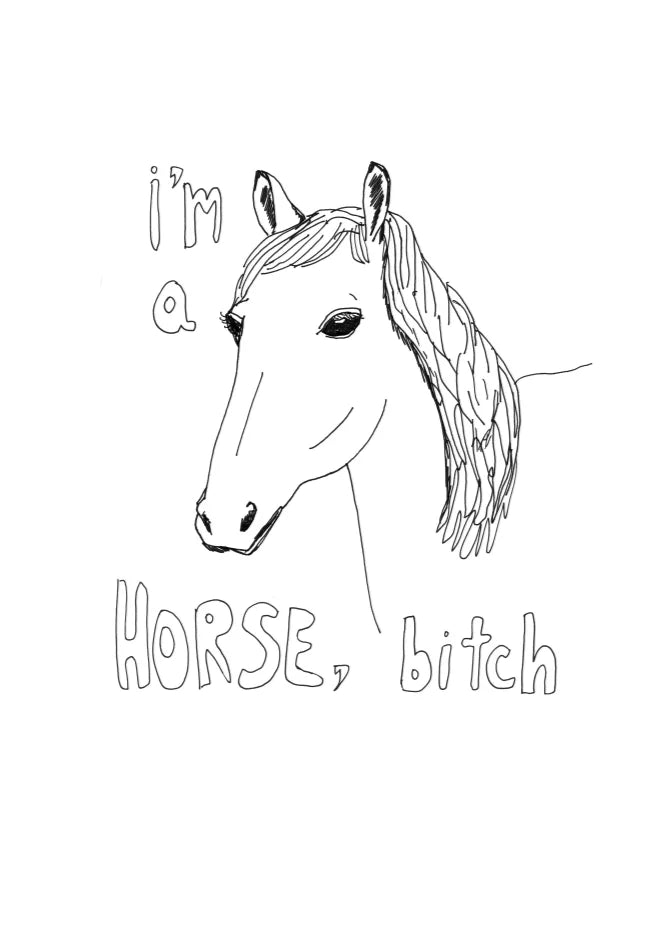 A Horse, A Crow, and a Hippo Walk Into a Bar