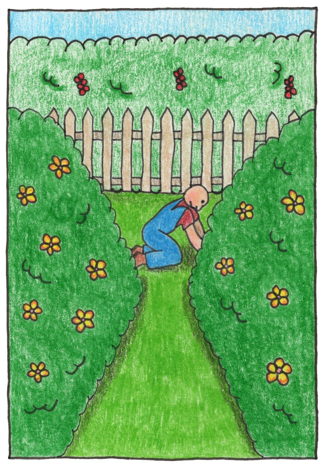 The Garden