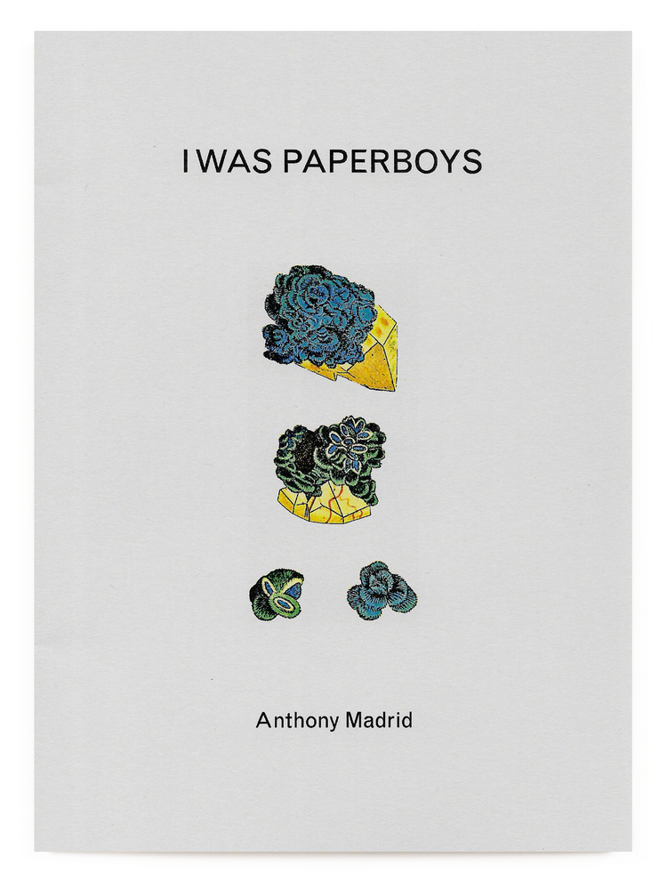 I Was Paperboys