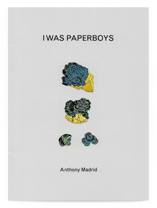 I Was Paperboys