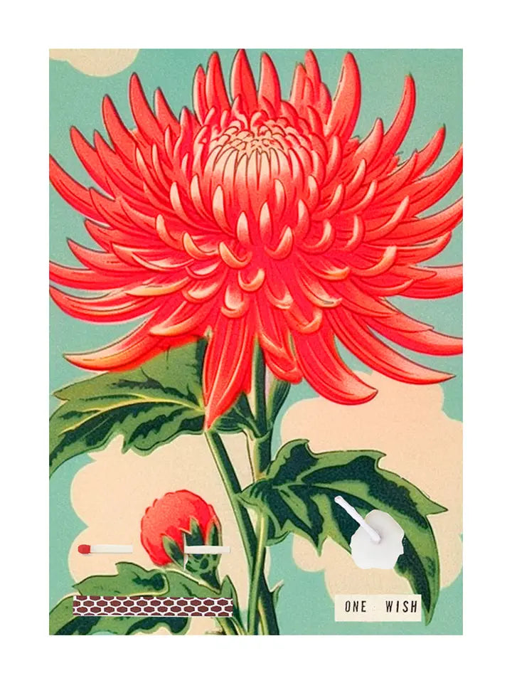 Wish Cards
