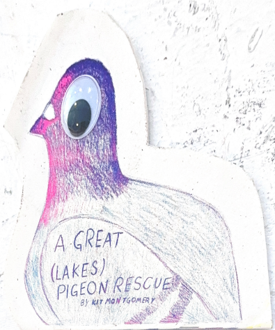 A Great (Lakes) Pigeon Rescue