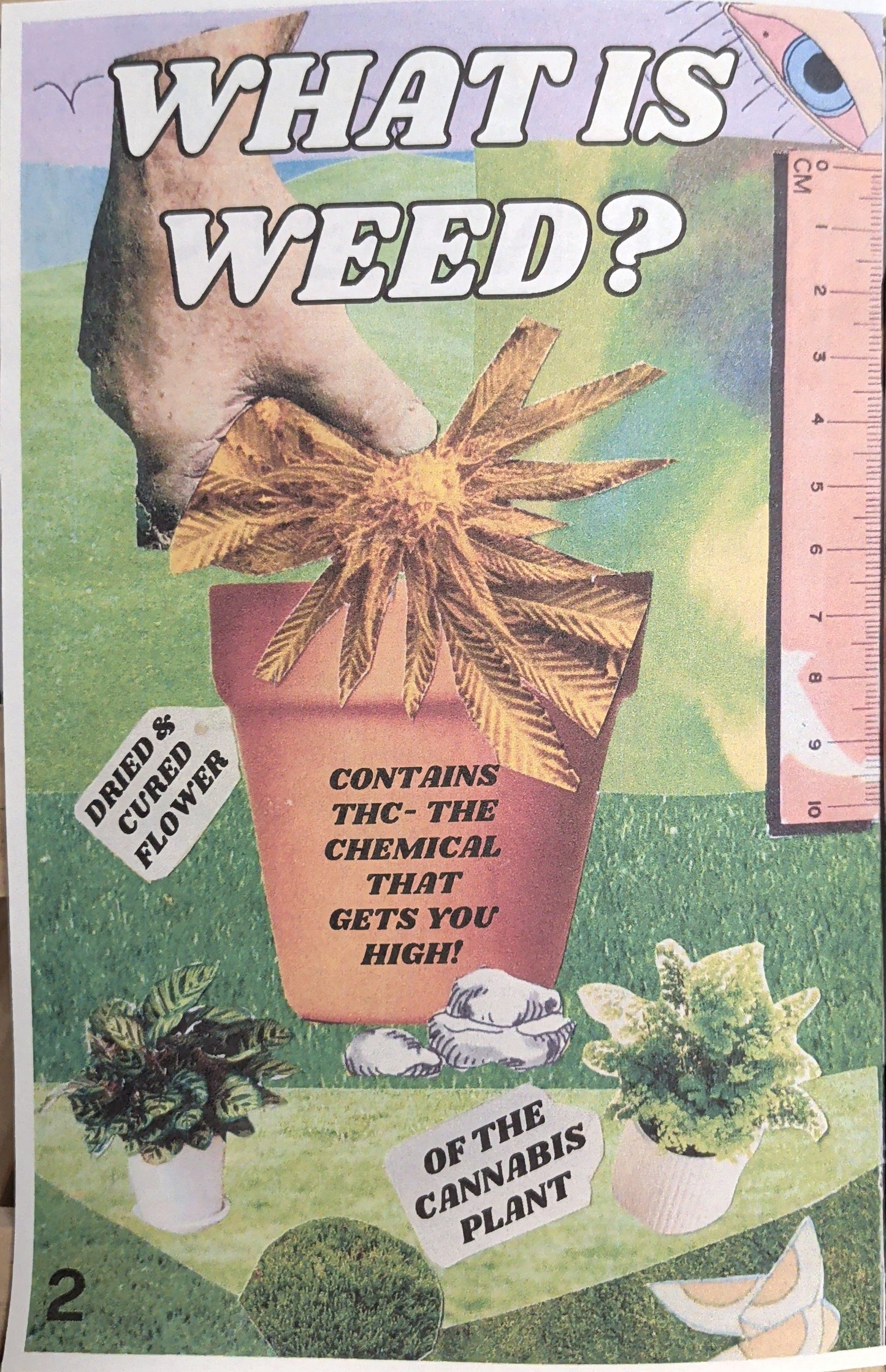 Cannabis is Queer