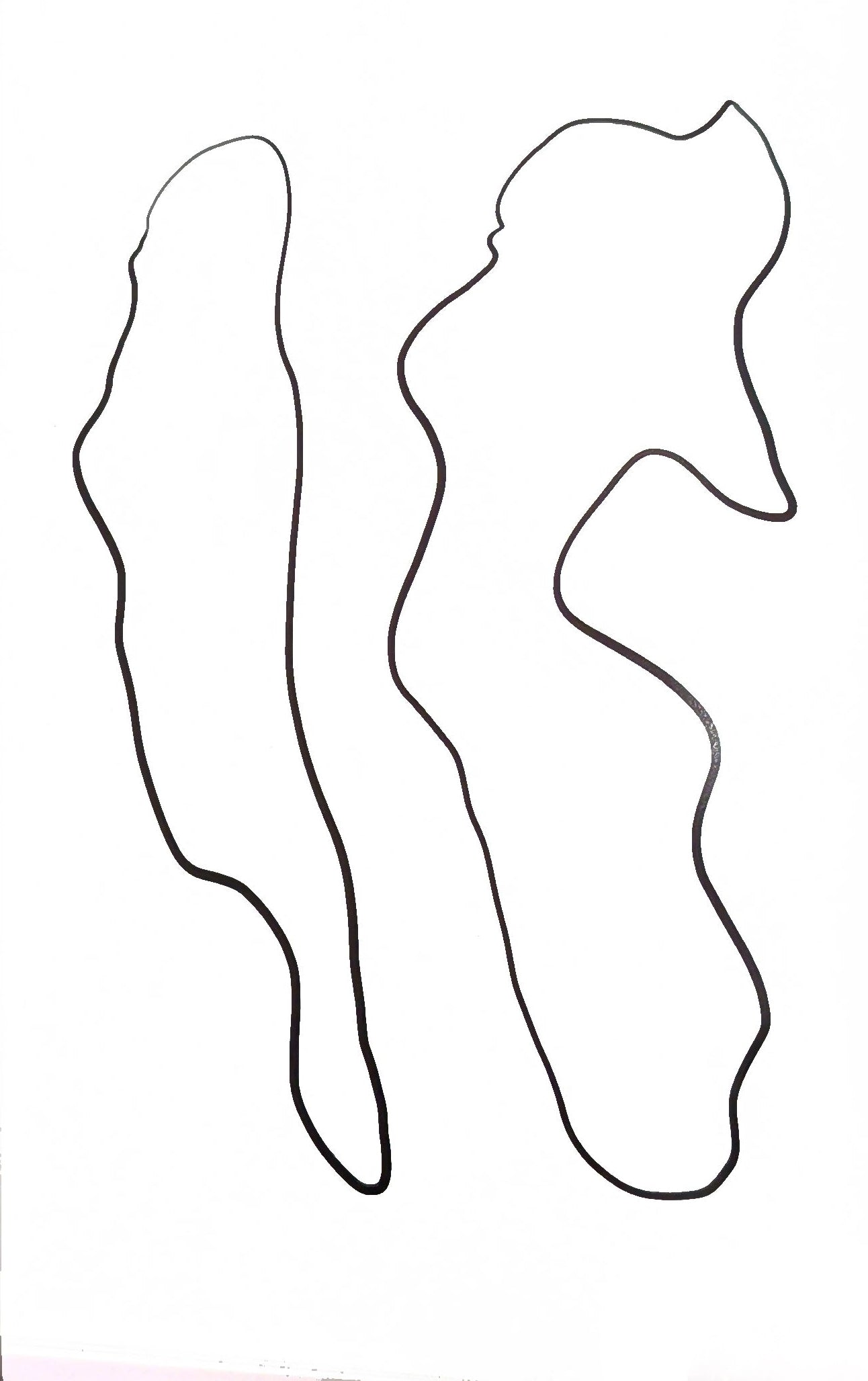 The Shapelies