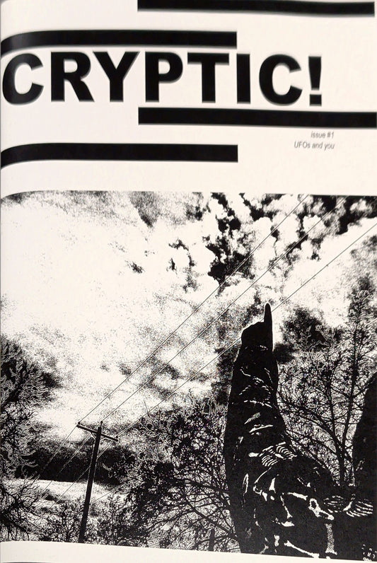 Cryptic! #1