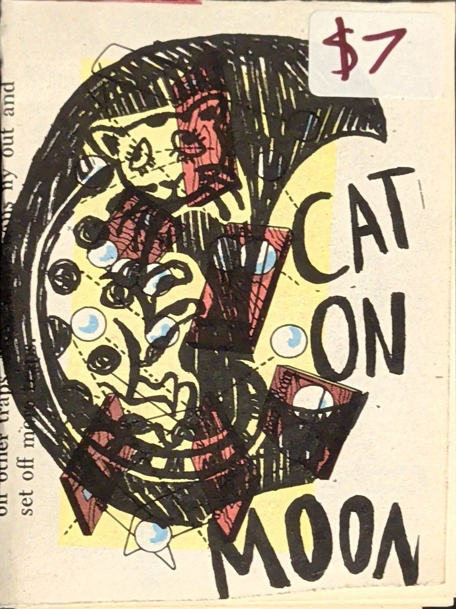 Cat on Moon