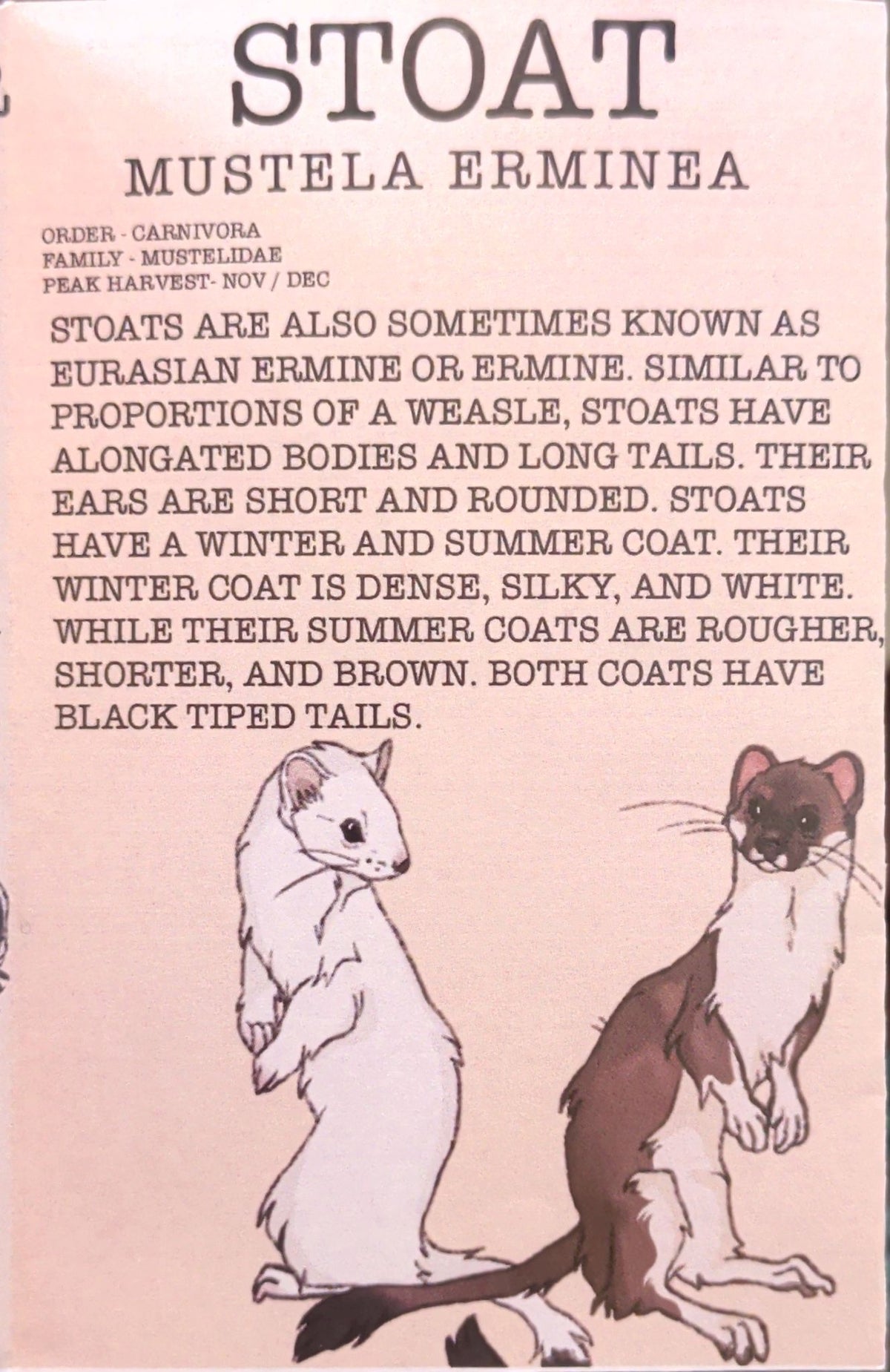 Pocket Guide to North American Fur Bearers