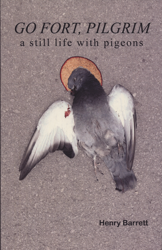 Go Fort, Pilgrim
