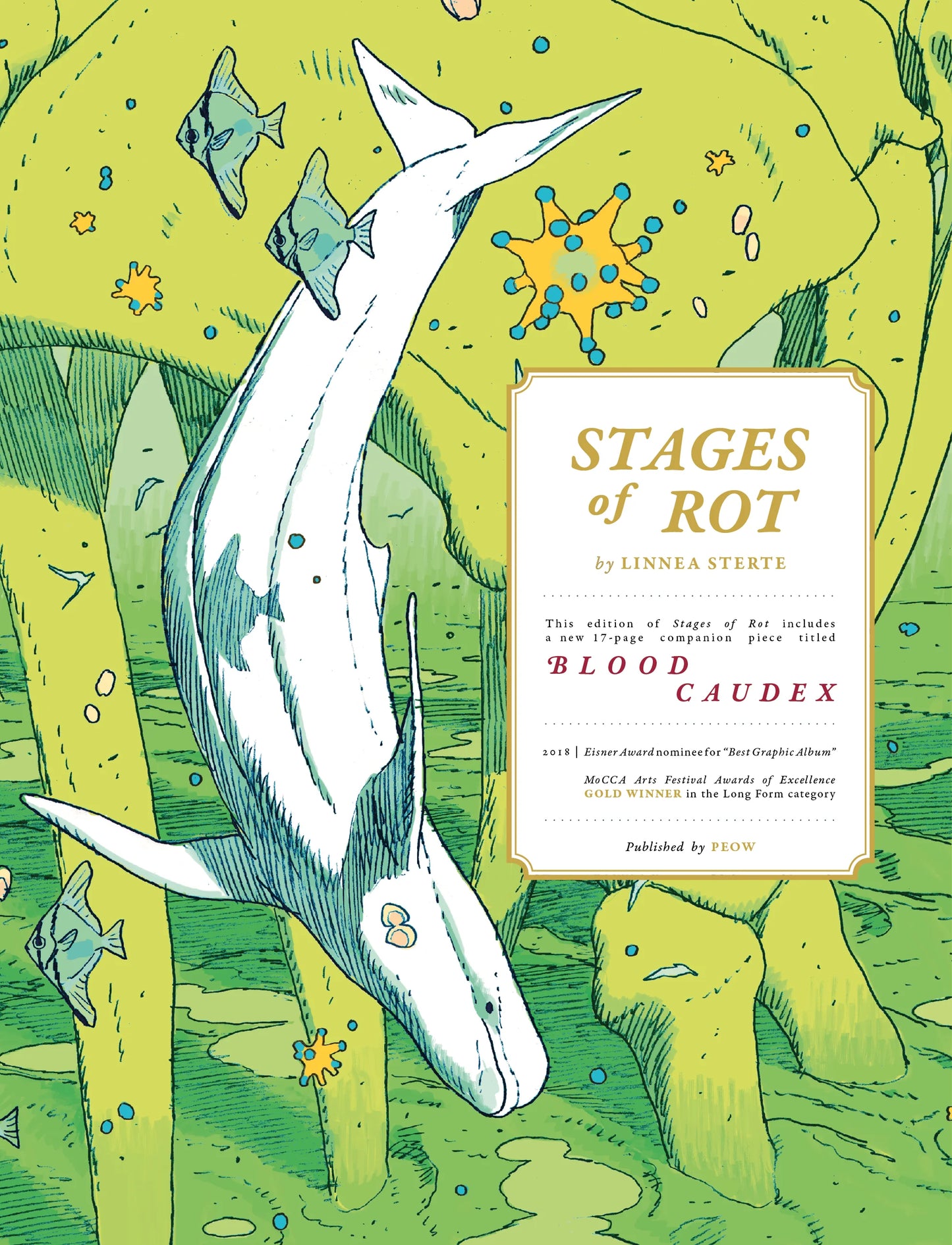 Stages of Rot