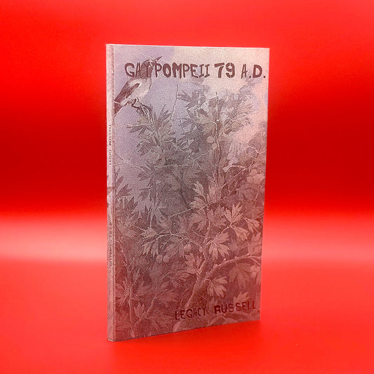 Gay Pompeii 79 A.D.